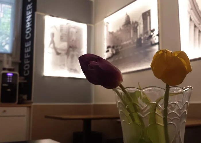 B&B 산 피터 롬 로마