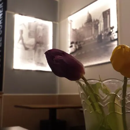 住宿加早餐酒店 圣彼得罗马住宿加早餐酒店 罗马